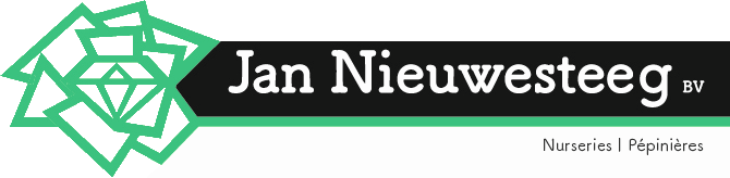 Jan Nieuwesteeg