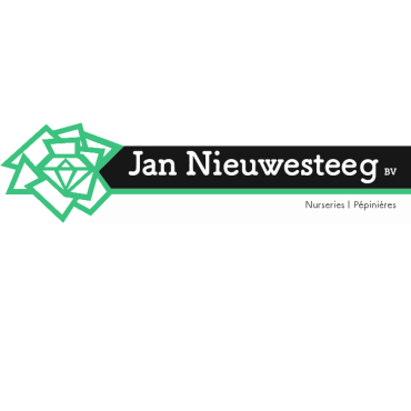 Jan Nieuwesteeg