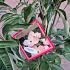 Cornus Stellar Pink