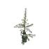 Larix decidua