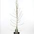 Prunus p. Taoflora White
